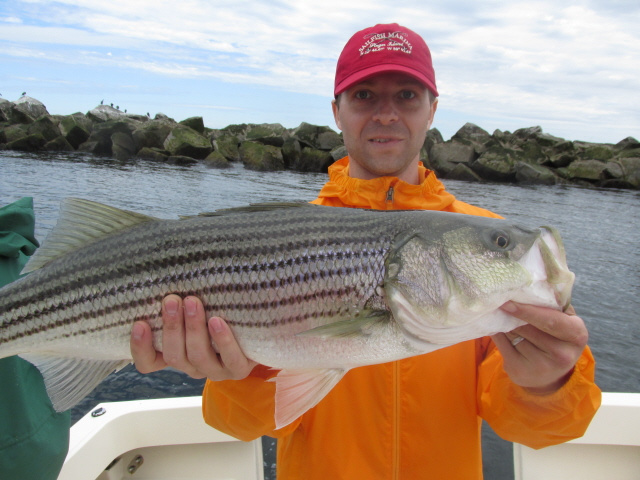 Rob's striper